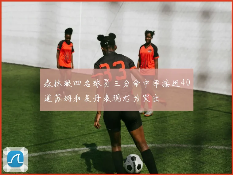 森林狼四名球员三分命中率接近40道苏姆和麦丹表现尤为突出